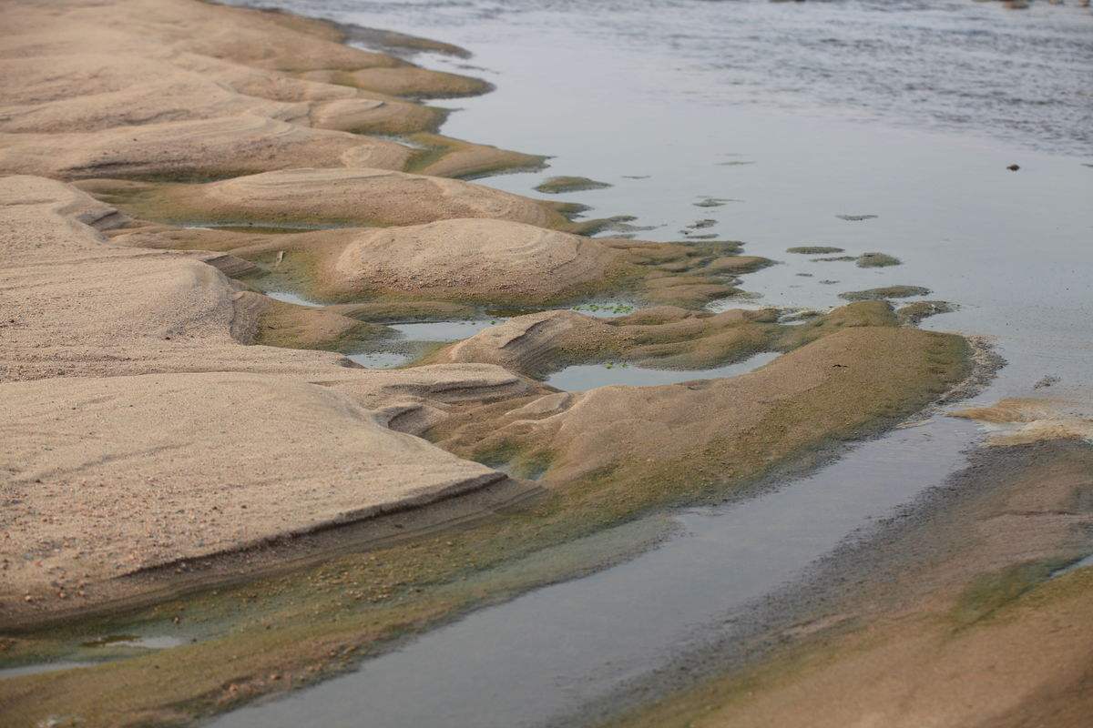 海沙淡化